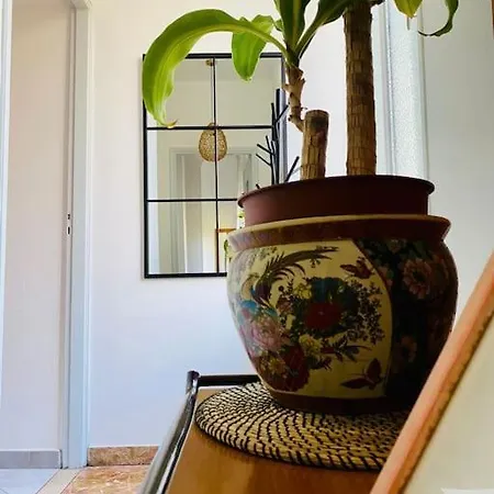 La Casetta Nel In Citta 公寓 都灵